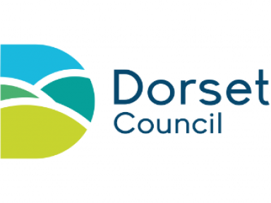 4. Dorset Council Logo (350x250)